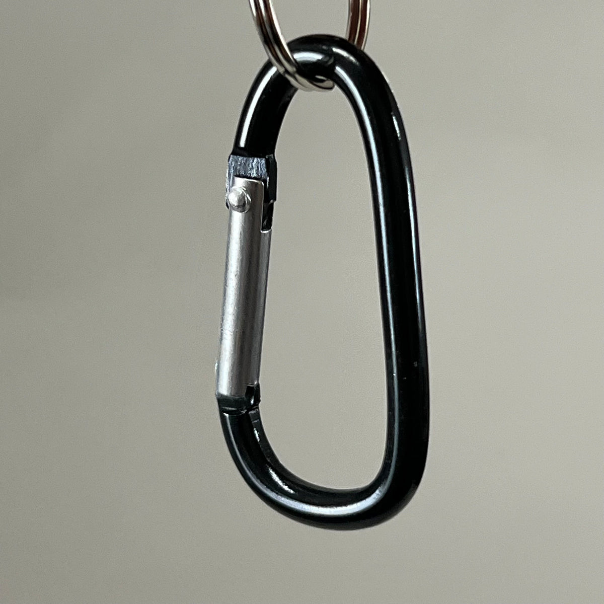 ADVANTUS (10) Key Chain Carabiner W/ Key Ring Black 091141755553