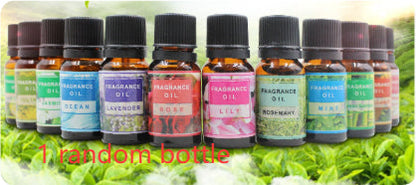 Plant aromatherapy essential oil