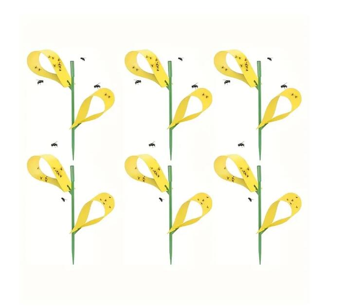 Sticky Houseplant Traps Gnat Yellow Insect Trap Indoor Fruit Fly Stakes Trap