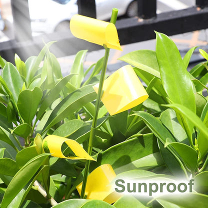 Sticky Houseplant Traps Gnat Yellow Insect Trap Indoor Fruit Fly Stakes Trap