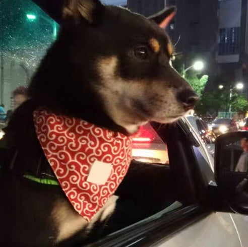 Dog Triangular Bandage