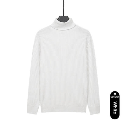 Mens Turtleneck Knitted Solid-Color Sweater