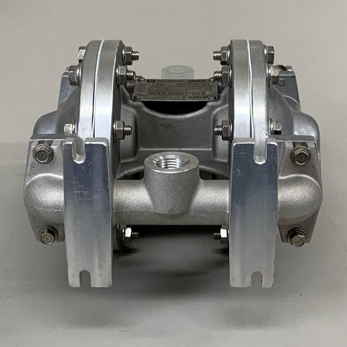 VERSAMATIC Air Operated Double Diaphragm Pump 1/2"  E5AP5T559C