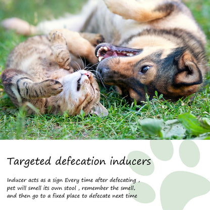Pet Location Training Agent for Toilet Induction and Waste Positioning