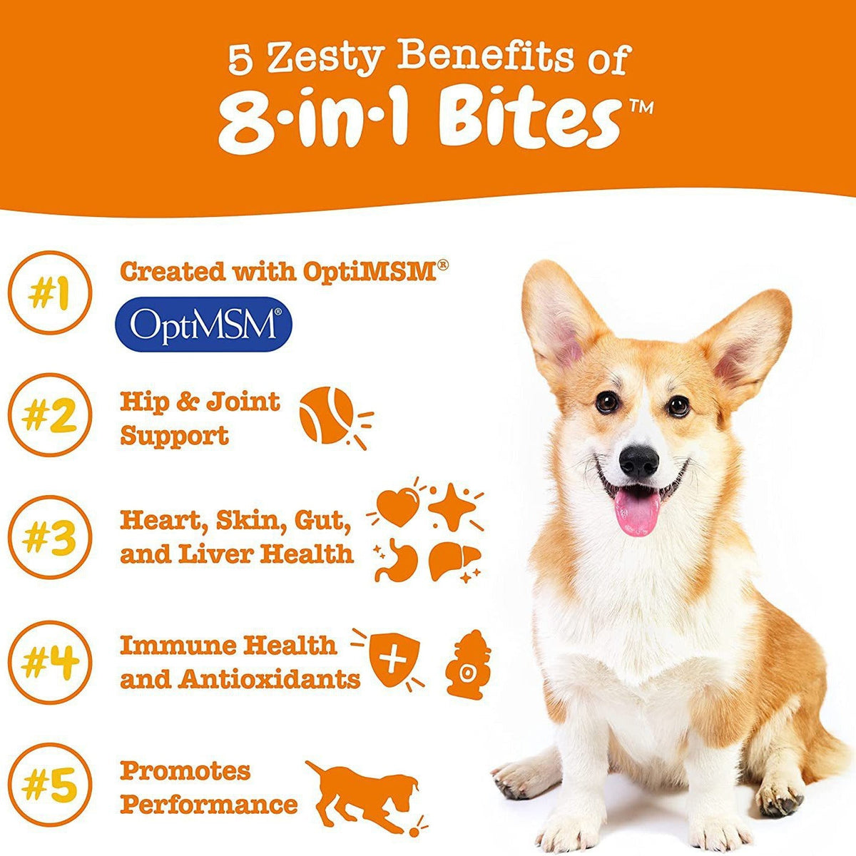 Pet Vitamin Health Product: Multi-Functional Nutritional Supplement for Dogs