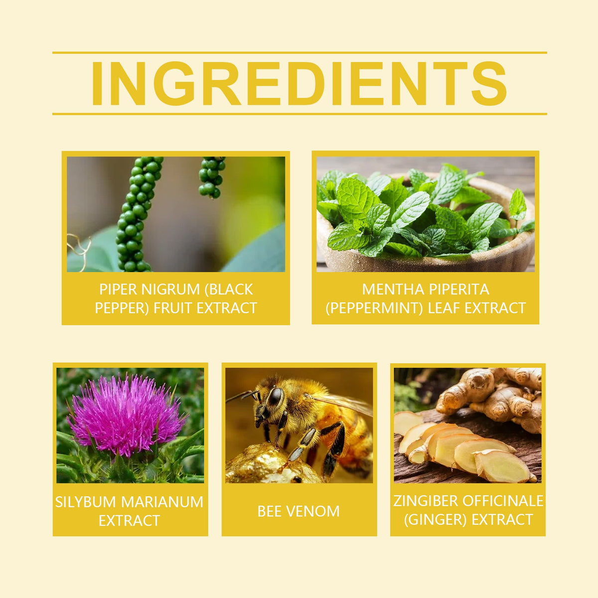 Bee Venom Beauty Considerate, Lazy Body Beauty Navel Patch Ginger Essence Moisturizing Firming Skin Care Body Care Patch