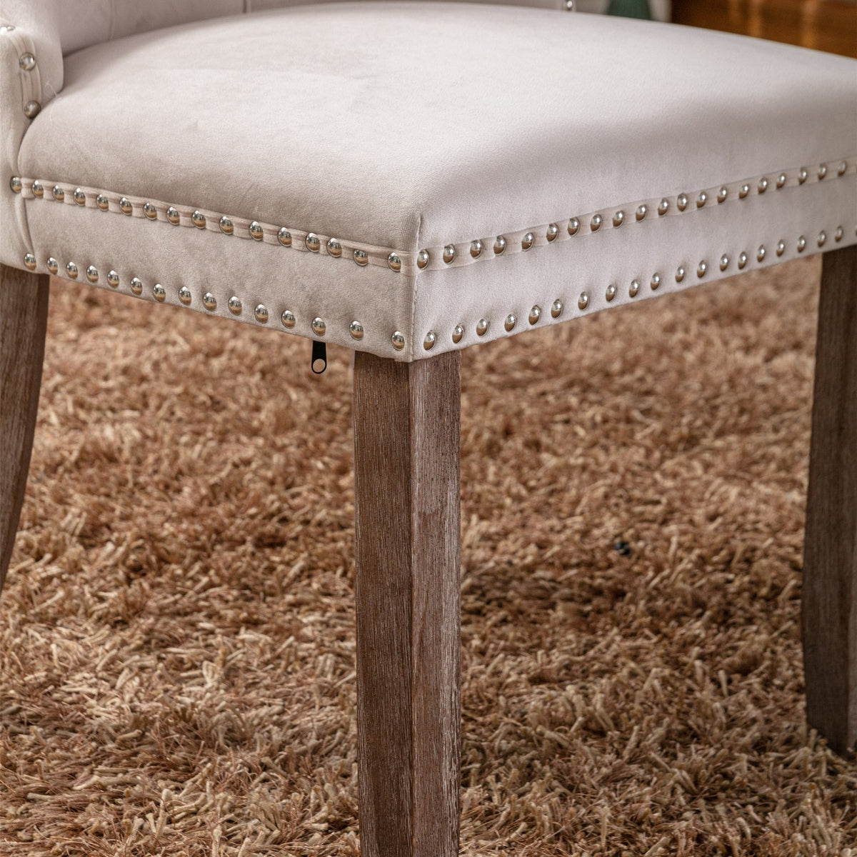 Nikki Collection Modern High-end Tufted Solid Wood Contemporary Velvet Upholstered Dining Chair 2-Pcs SetBeige