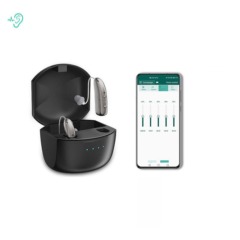 Rechargeable Bluetooth APP intelligent noise reduction RIC hearing aid ear back type hearing aid for the elderly with hearing loss