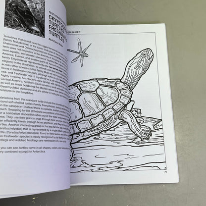 THE RETILES COLORING BOOK Science & Anatomy Paperback Coloring Activity Book