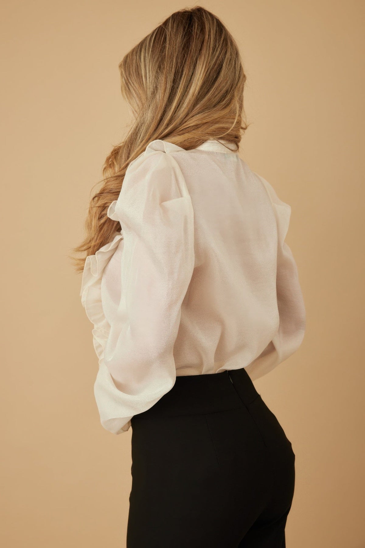 Ruffle Micro Crystal Long Sleeve Blouse