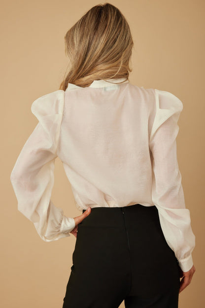 Ruffle Micro Crystal Long Sleeve Blouse