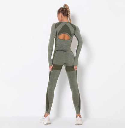 Seamless Long Sleeve Yoga Set