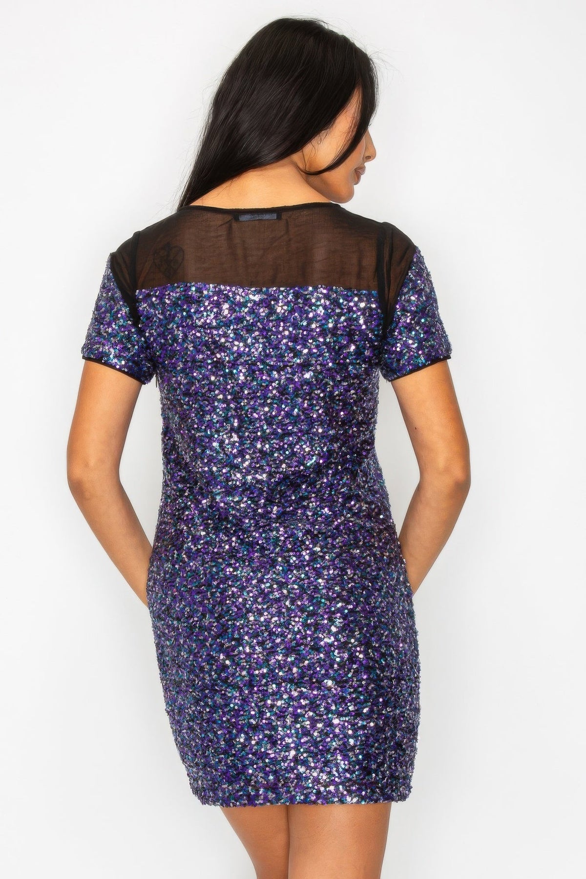 Sparkle Sequins & Mesh Cap Sleeve Mini Dress