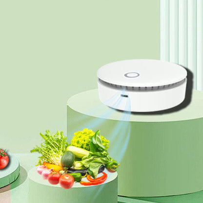 Refrigerator wardrobe shoe cabinet toilet portable pet cat bed powerful ozone disinfection machine