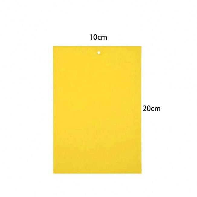 Double sidedStrong Flies Traps Bugs Sticky Board Catching Aphid Insects Killer fly Control Whitefly Thrip Leafminer Glue Sticker