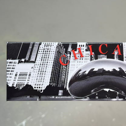 (5 PACK) Chicago Cloud Gate Souvenir Magnet  6"x2" Black & White 2014-00740-6441
