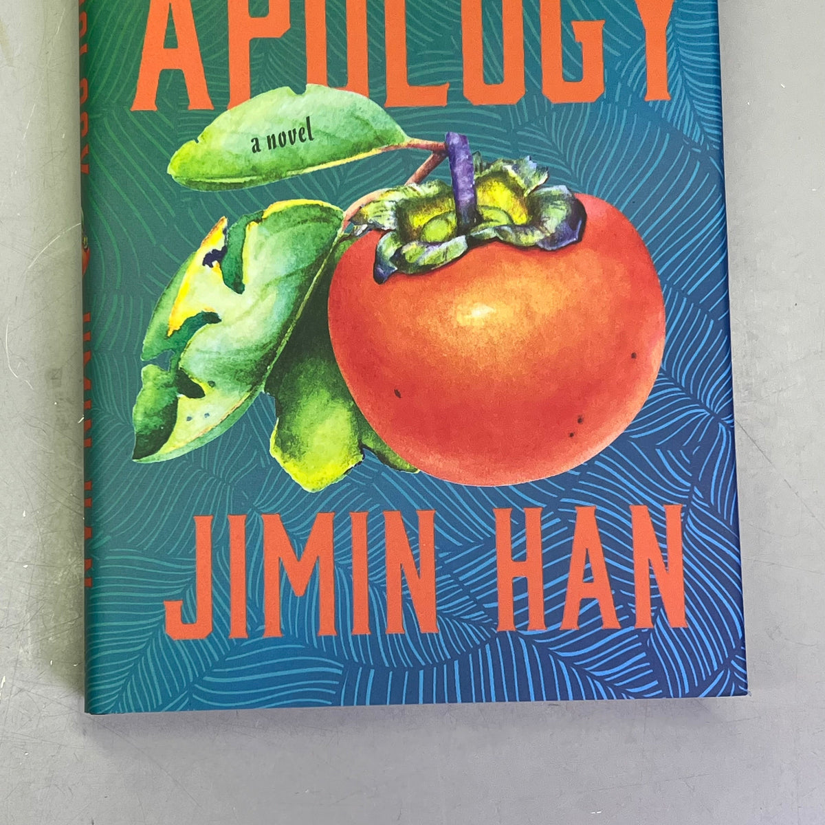 THE APOLOGY About A South Korean Matriarch Hardcover Book By Jimin Han