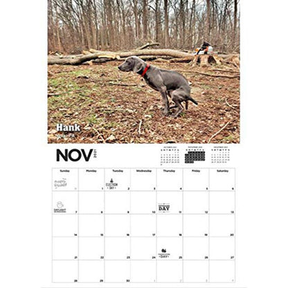 2021 Pooping Pooches Calendar White Elephant Gag Gift Calendar 2021 Calendar Poster Retro Decor Painting