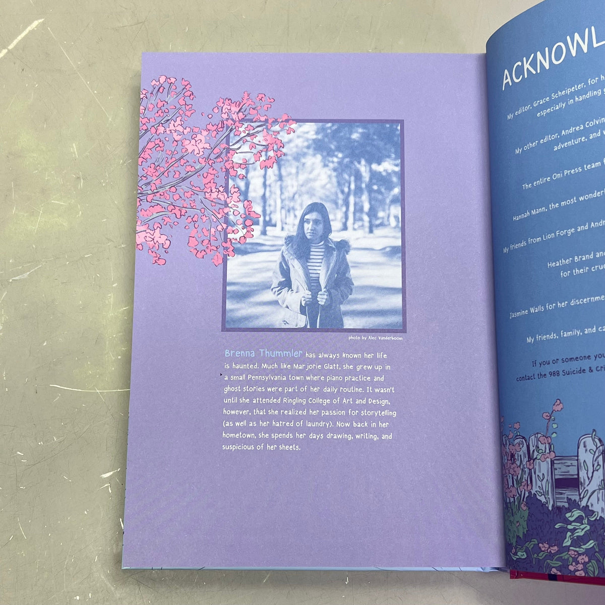 DELICATES  Hardback Book Deluxe Edition The Sequel To Sheets By Brenna Thummler
