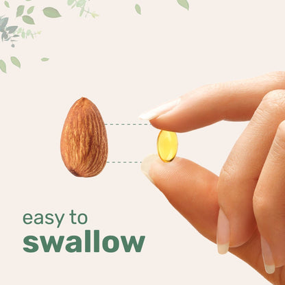 Oregano oil soft capsules