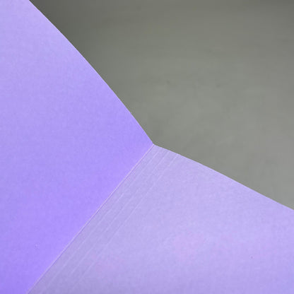 SMEAD (100 PACK) Reinforced File Folder Letter Sz 1/3 Cut Tab Lavender 12434