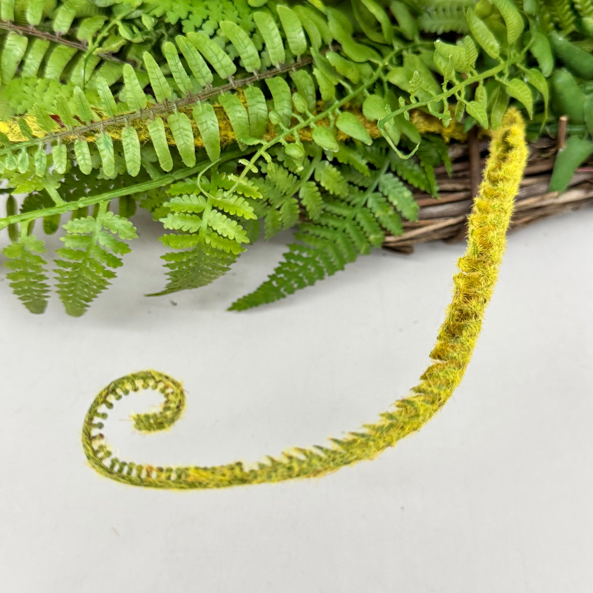 RAZ IMPORTS Oval Mixed Fern Wreath Home Decor 28" Green W4102231