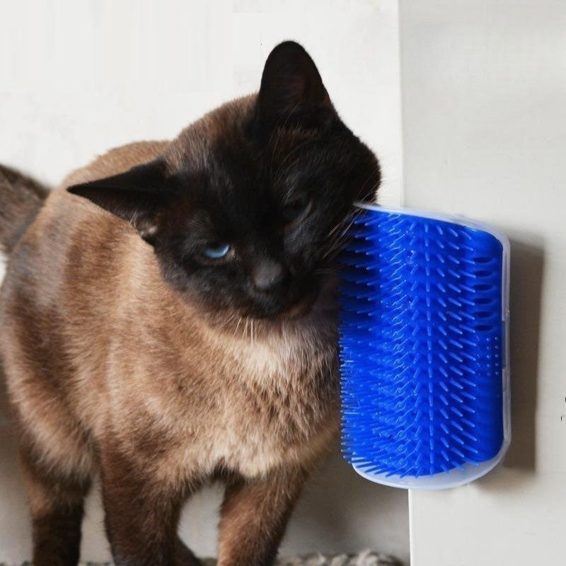 New four-color wall corner brush with free cat mint powder skin friendly cat massager cat comb