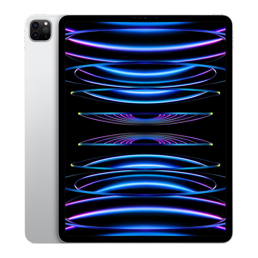 Apple iPad Pro 11 in. 4th Gen (2022) Refurbished - Fair Condition