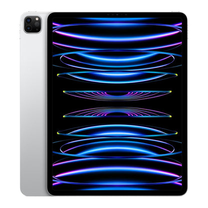 Apple iPad Pro 11 in. 4th Gen (2022) Refurbished - Fair Condition