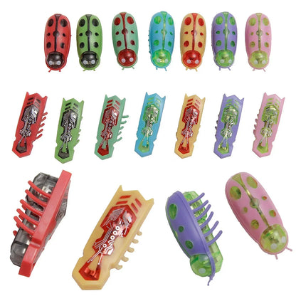 Mini Electric Ladybug Cat Toy for Interactive Indoor Hunting Play