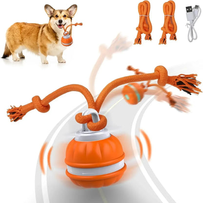 Automatic Interactive Rolling Ball Dog Toy for Smart Active Play