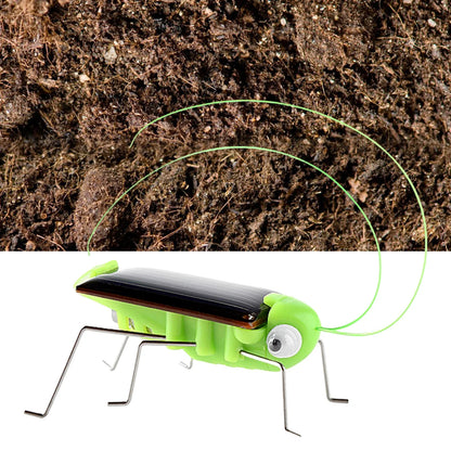 Solar Powered Grasshopper Toy Jumping Science Puzzle for Kids