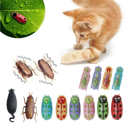 Electric Bug Cat Toy Automatic Interactive Catnip Chasing Toy