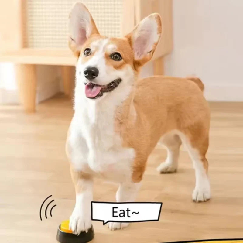 Recordable Dog Talking Button for Interactive Pet Communication Training
