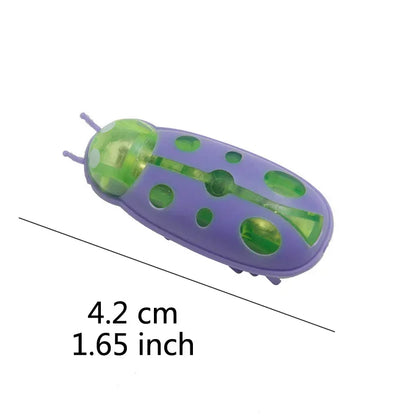 Electric Bug Cat Toy Automatic Interactive Catnip Chasing Toy
