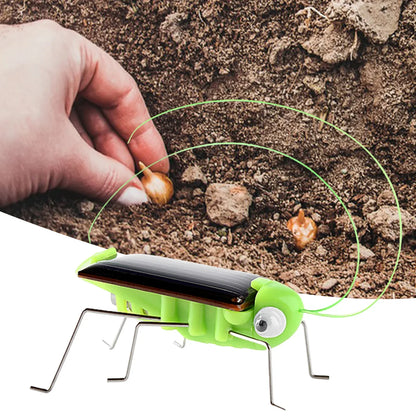 Solar Powered Grasshopper Toy Jumping Science Puzzle for Kids