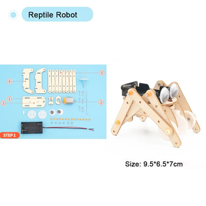 DIY STEM Science Experiment Model Kit for Kids