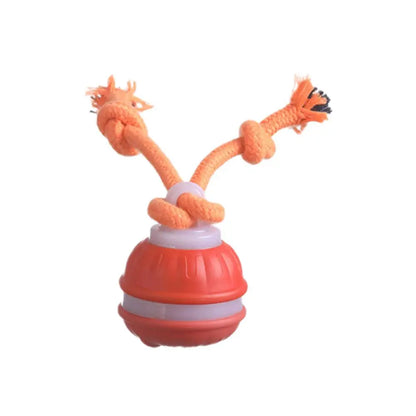 Interactive Motion Activated Dog Ball with Rope for Active Play