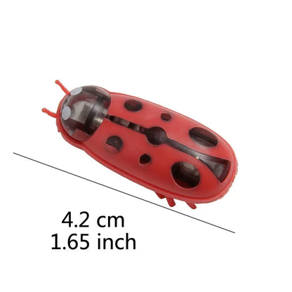 Electric Bug Cat Toy Automatic Interactive Catnip Chasing Toy