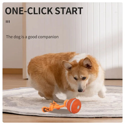 Automatic Interactive Rolling Ball Dog Toy for Smart Active Play