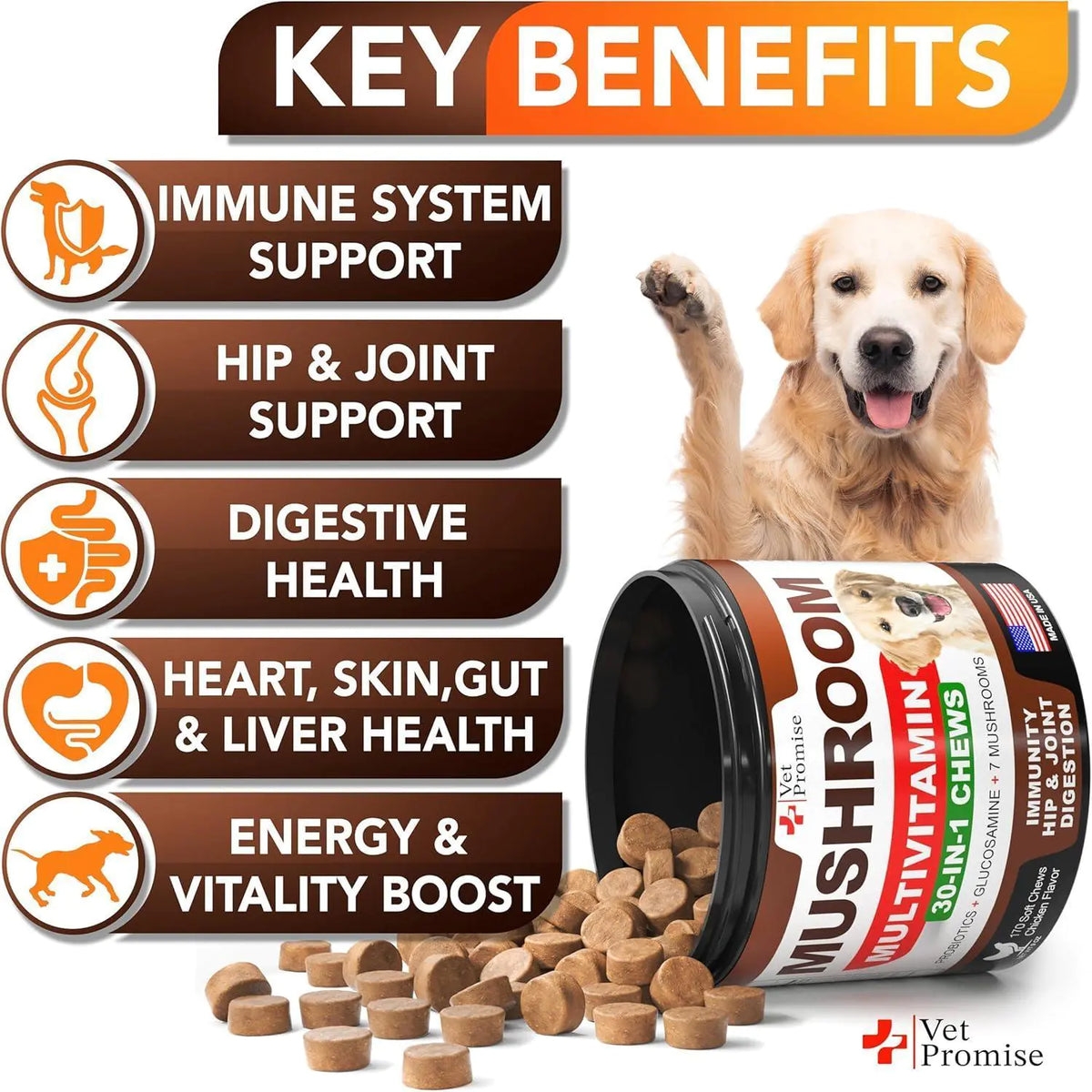 Mushroom for Dogs 170 Chews Turkey Tail Mushroom for Dogs Lions Mane Reishi