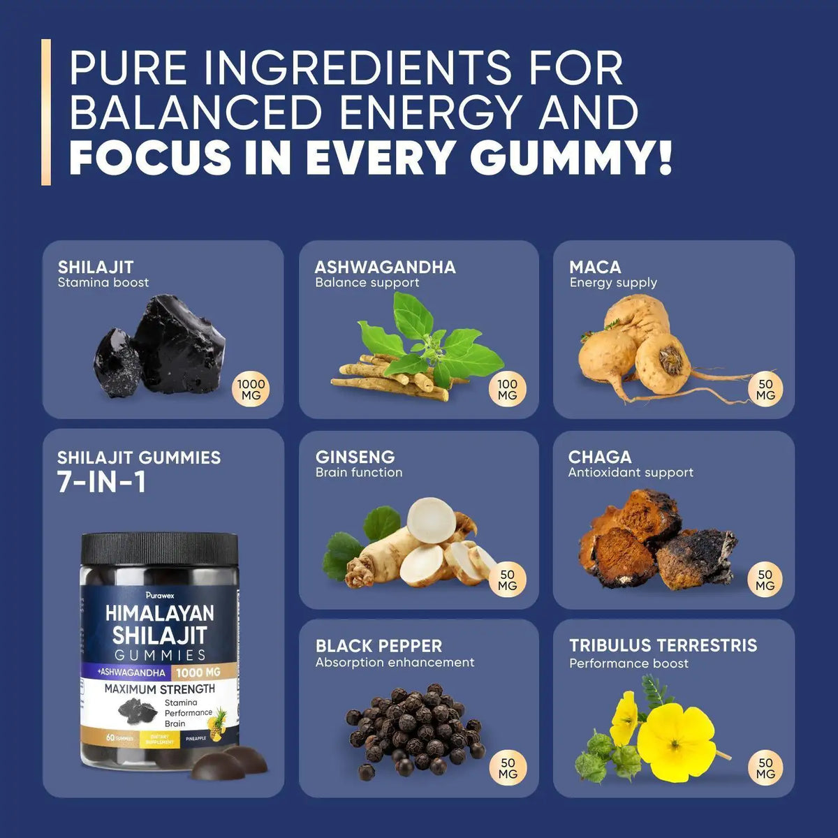 Shilajit Gummies 1000mg, Shilajit Gummies for Men and Women, Energy, Immunity