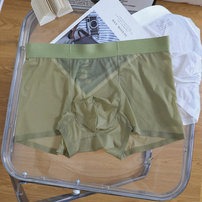 Transparent Sexy Boxer Briefs Mens Shorts