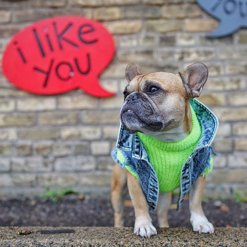 Pet Dog Washed Denim Jacket Clothes