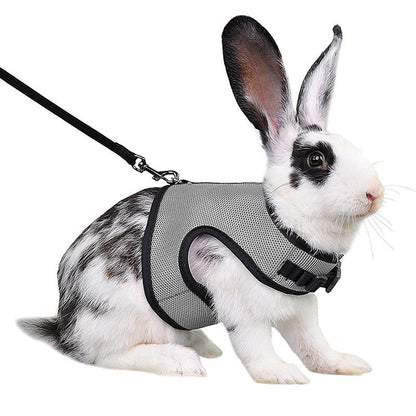 Guinea Pig Rabbit Rope Minipet Traction Vest Chest Back
