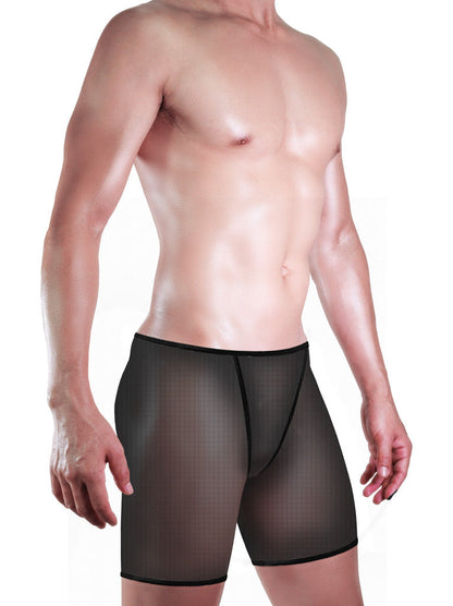 Men's Sexy Underwear Underwear Fine Mesh Big Boxer Underwear