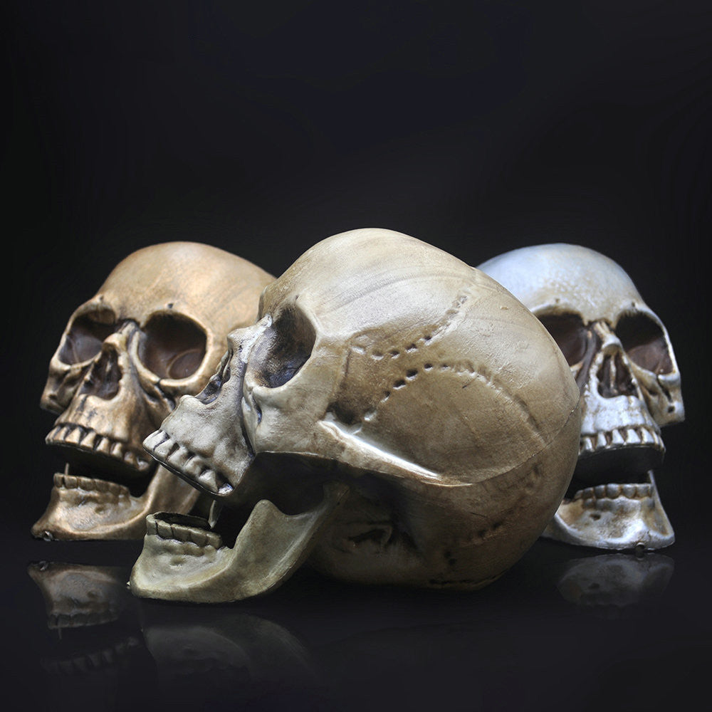 Skull Decor Prop Skeleton Head Plastic  Model Halloween