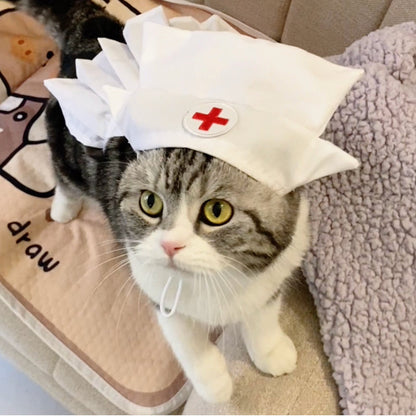 Fashionable And Personalized Cat Dress Set