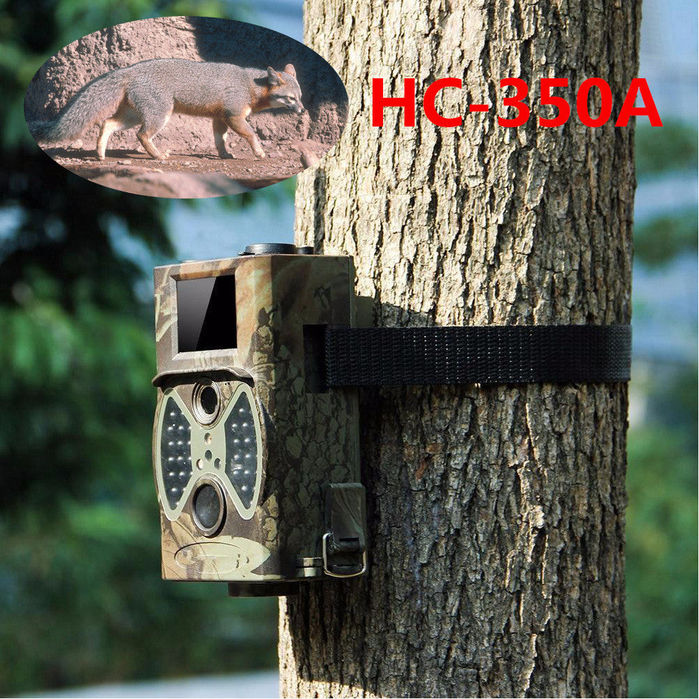 Indoor Outdoor Security Surveillance Camera