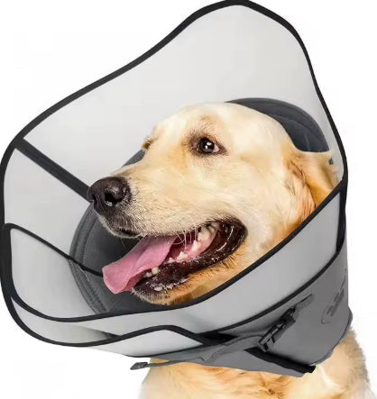 Pet Sterilization Collar Adjustable Ring